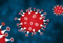 Parte il progetto “Casola di Napoli Zero epatite C ? Stop Covid”